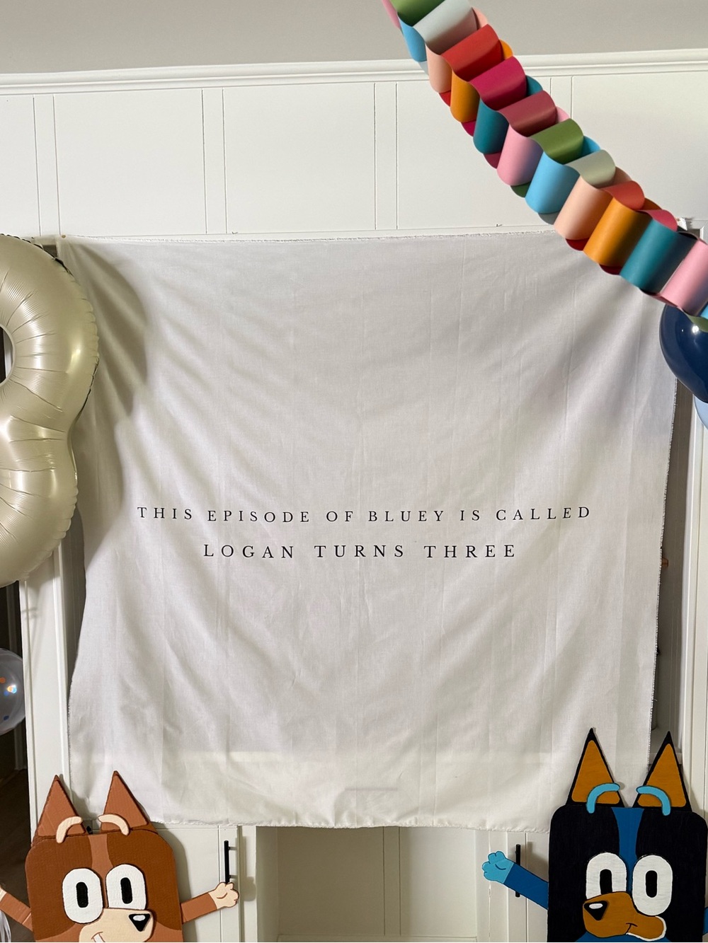 Bluey Birthday Backdrop